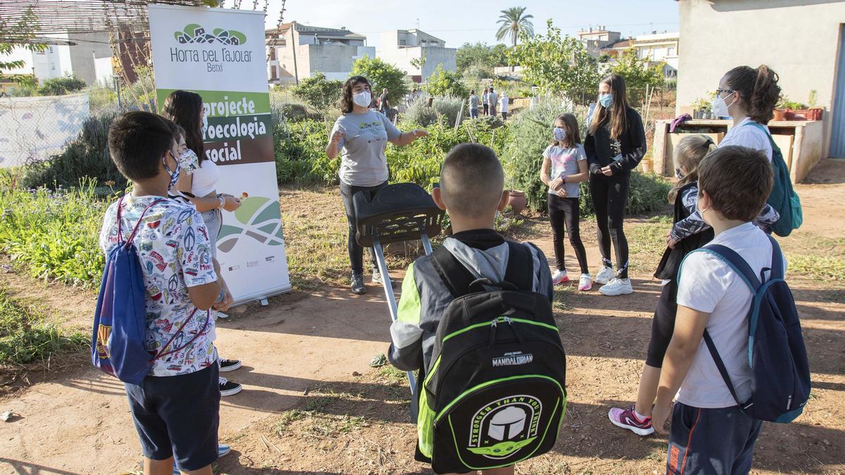 Visita educativa a l'Horta del Rajolar para conocer la agricultura ecológica.