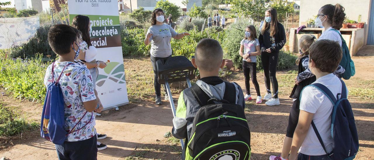 Visita educativa a l&#039;Horta del Rajolar para conocer la agricultura ecológica.