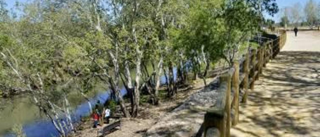 Vecinos de Alzira en el bosque de ribera del río que ha resurgido gracias al paseo fluvial.