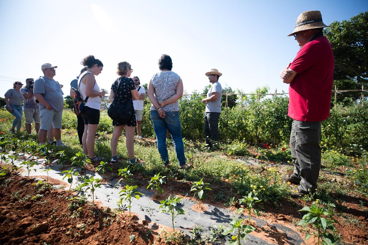 Finca ecológica Tierra de Ibiza