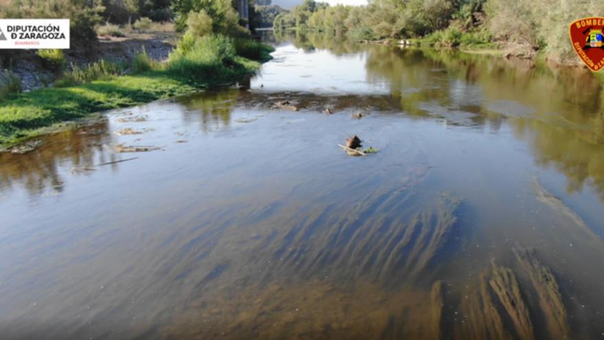 El río Cinca está en unas condiciones que lo hacen actualmente impracticable