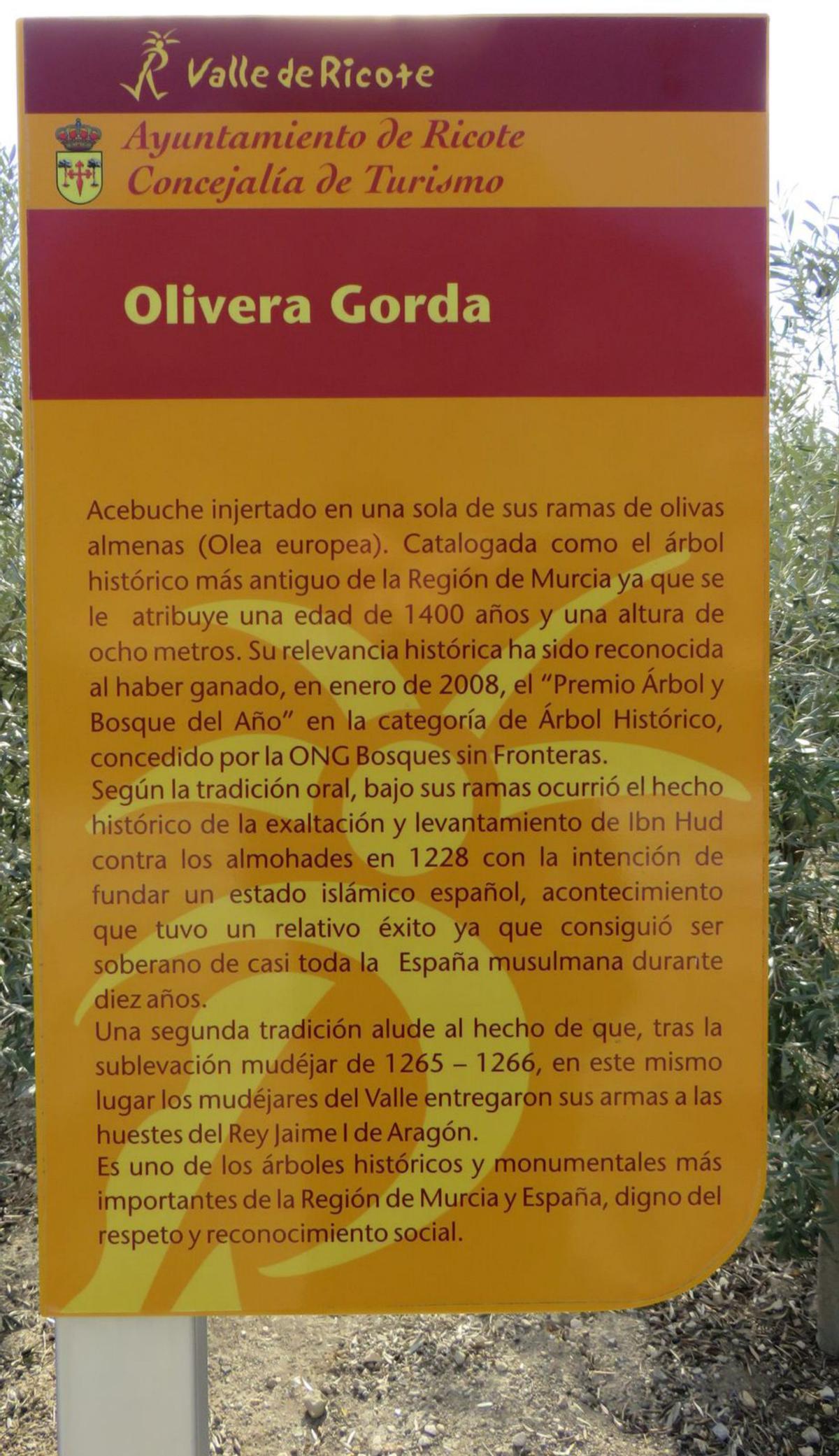 Cartel con información sobre la emblemática Olivera Gorda |  | L. O.
