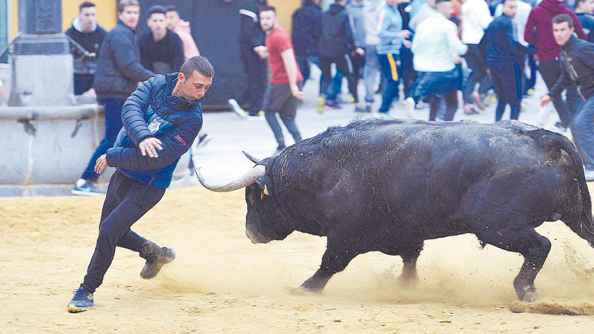 Ayer habrían comenzado los &#039;bous al carrer&#039; en las fiestas patronales de Sant Vicent de la Vall d&#039;Uixó.