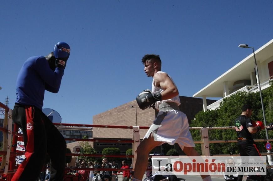 Fiesta del Deporte de Murcia (domingo)