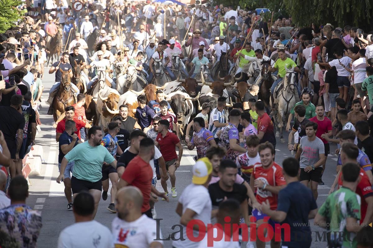 El segundo encierro de las Fiestas de Moratalla se salda con un herido