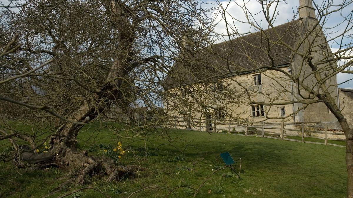 El árbol de la manzana de Newton y otros lugares del mundo que te asombrarán