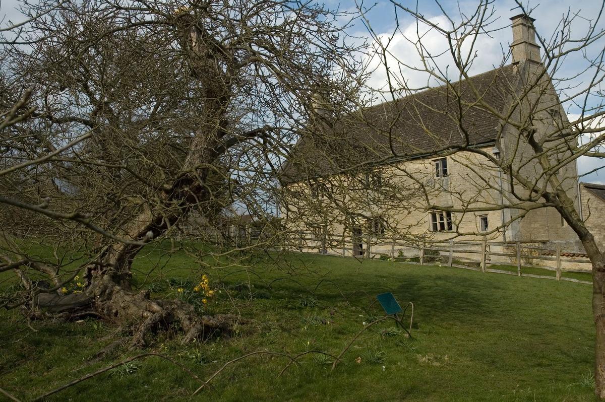 Manzano de Newton, Inglaterra