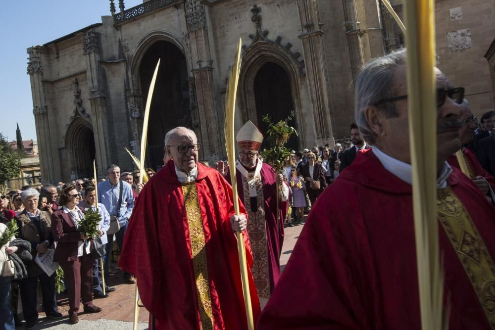 Bendición de ramos en la plaza de la Catedral