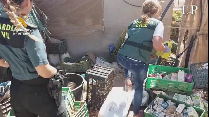 Agresión sexual en un invernadero abandonado de Gran Canaria