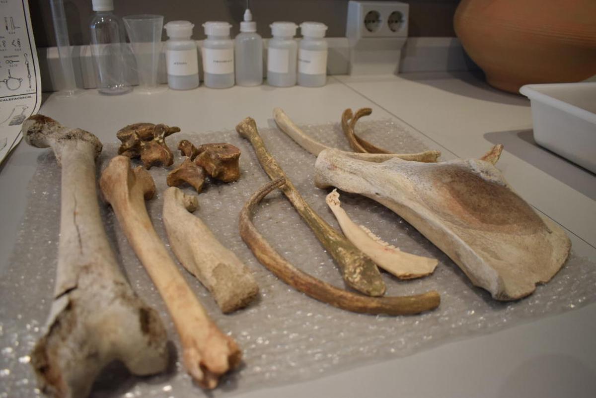 El MAM, un almacén lleno de tesoros