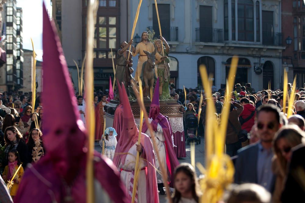 Procesión de La Borriquita