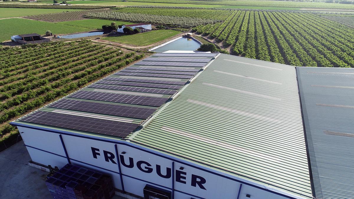 Instalación de autoconsumo foltovoltaico de EiDIF Solar para Fruguer en La Garrovilla (Badajoz).