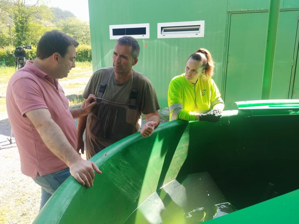 La extracción y traslado en vivo del campanu del Narcea, en imágenes