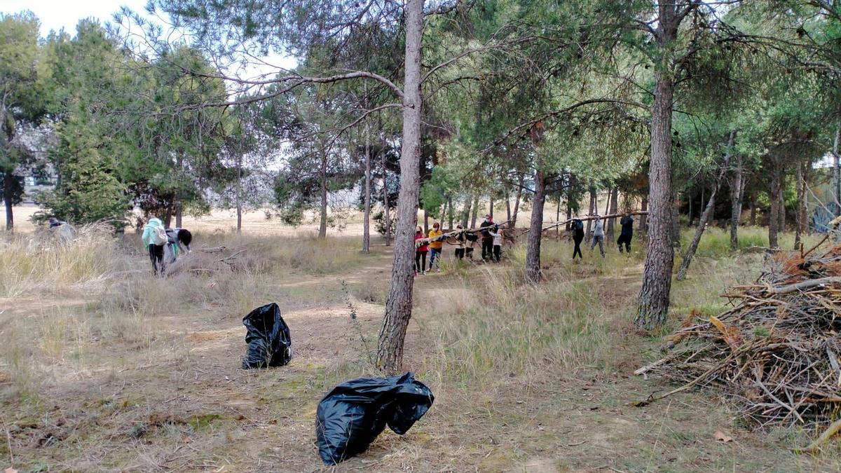 Mayores y pequeños colaboraron en las tareas para el cuidado de este entorno natural del barrio.