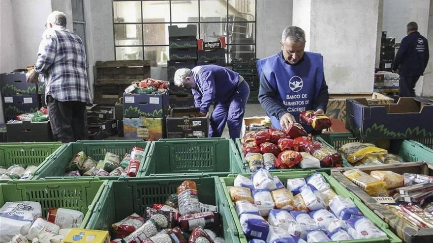 Los bancos de alimentos recogieron este viernes y sábado más de 260.000 kilos en Extremadura
