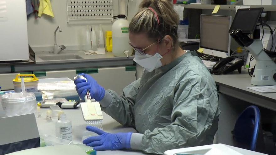 Así se trabaja con peste porcina en un laboratorio de bioseguridad nivel 3: "Una fuga es muy improbable"