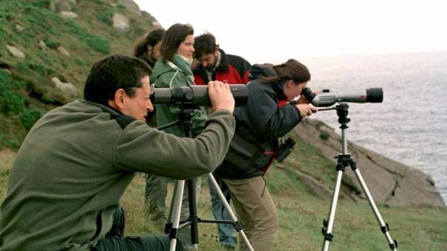 Aficionados a las aves observan sus movimientos migratorios en Estaca de Bares. / efe