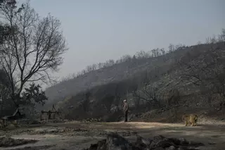 Situación de los incendios en Galicia el jueves 14 de agosto