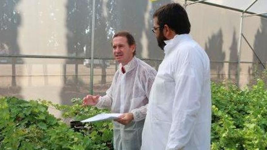 Andreu Juan y el conseller de Medio Ambiente.