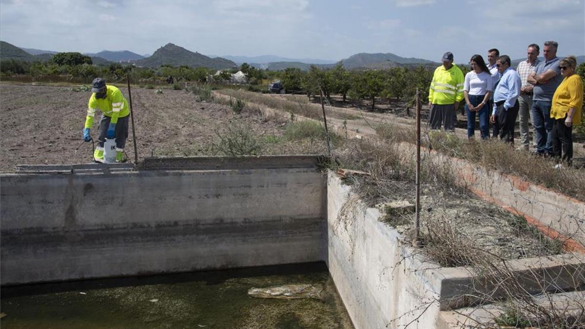 Diputación refuerza la lucha contra los mosquitos en diez municipios de Castellón