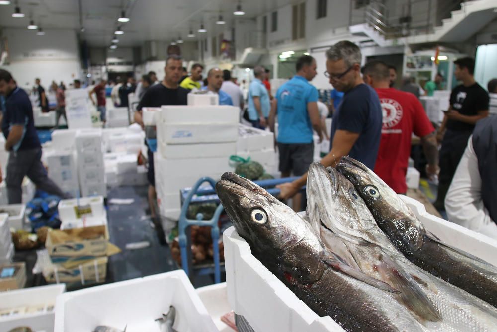 Así es un día de trabajo en la pescadería de Mercamálaga