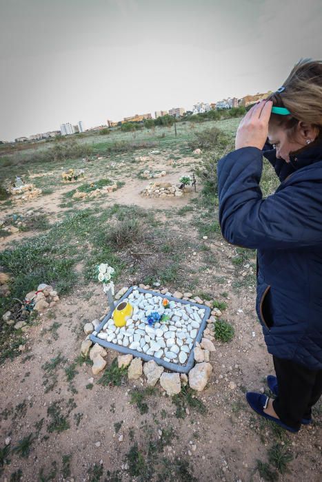 Junto al parque de Lo Albentosa de Torrevieja se extienden fosas y lápidas en una práctica no regulada