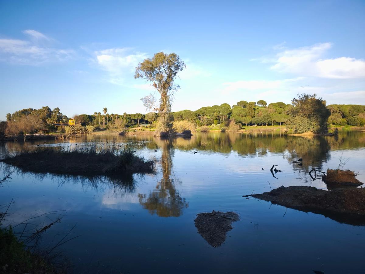 La laguna de la Cañada de los Pájaros, en La Puebla del Río, después de las borrascas.