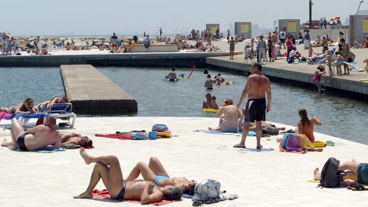 514 especies marinas en la zona de baños del Fórum de Barcelona, una playa artificial