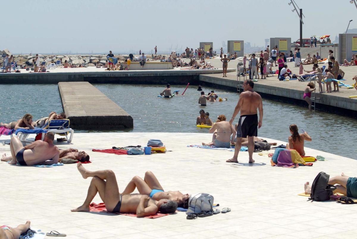 La platja del Fòrum de Barcelona té més de 500 espècies marines