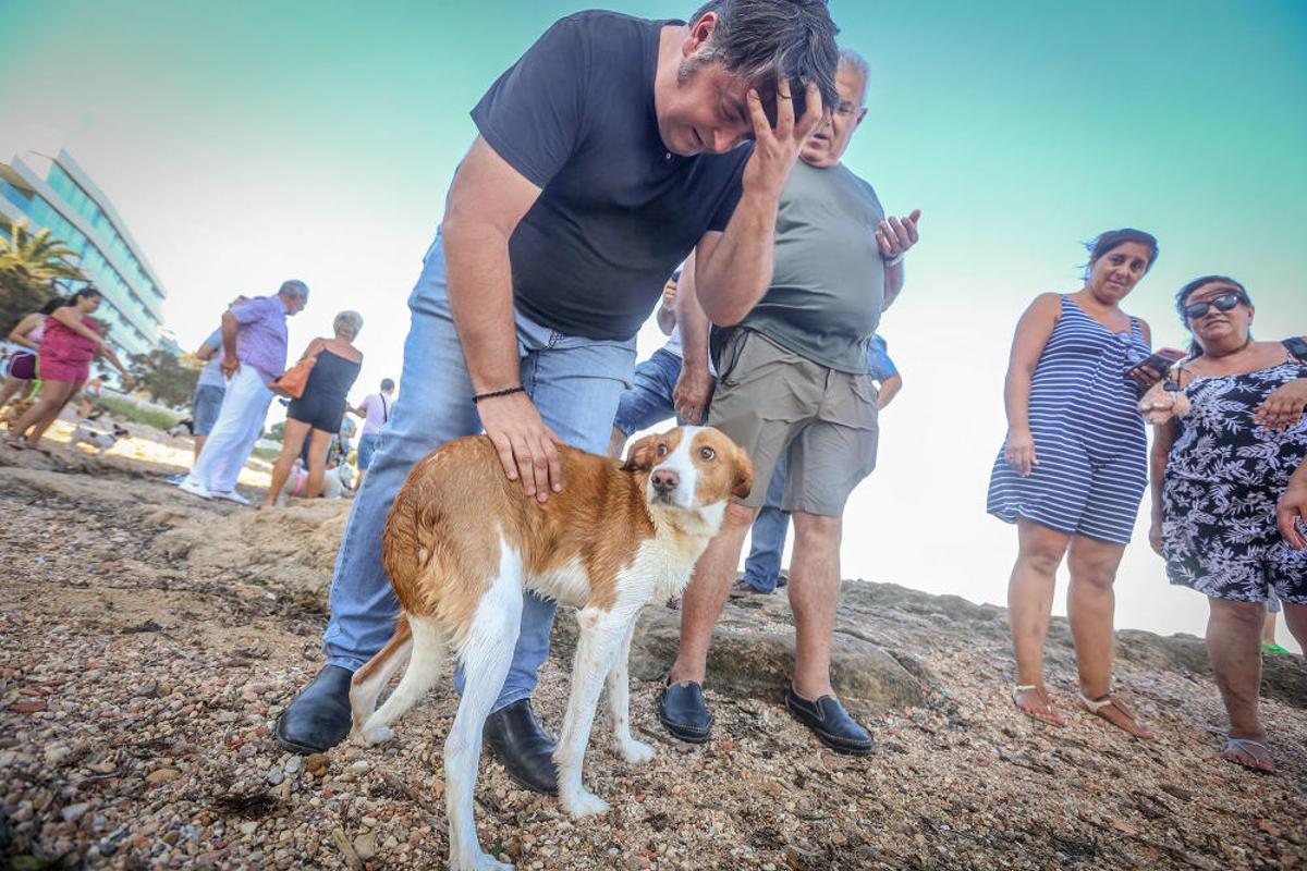 Docenas de usuarios de las playas acompañados de sus perros acudieron a Punta Margallo a pedir respeto y civismo en estos tramos litorales tras los "actos de sabotaje" de las señalizaciones