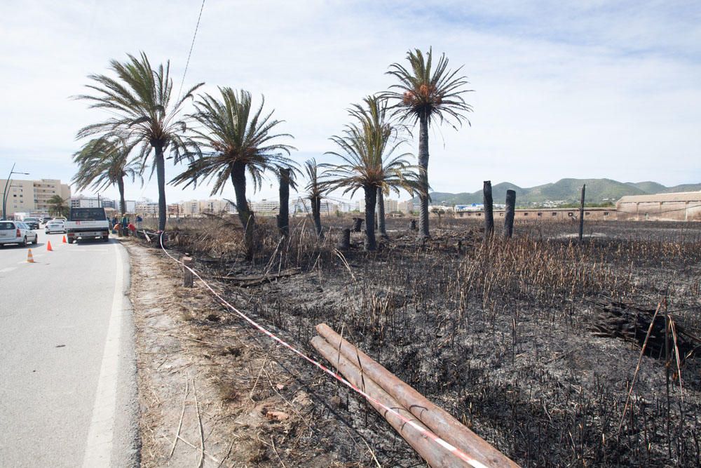 El día después del incendio en ses Feixes