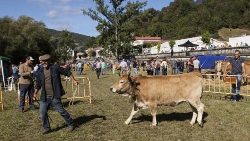 El valle del Nalón se viste de fiesta para empezar septiembre