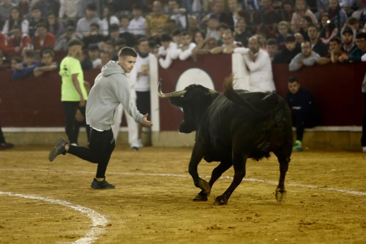 En imágenes | Vaquillas en la plaza de toros