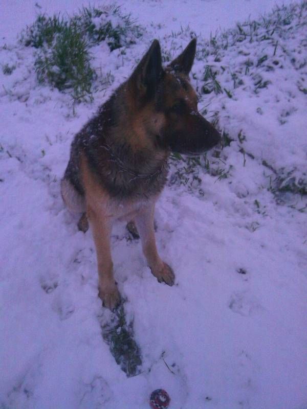 Las fotos de los cordobeses en la nieve