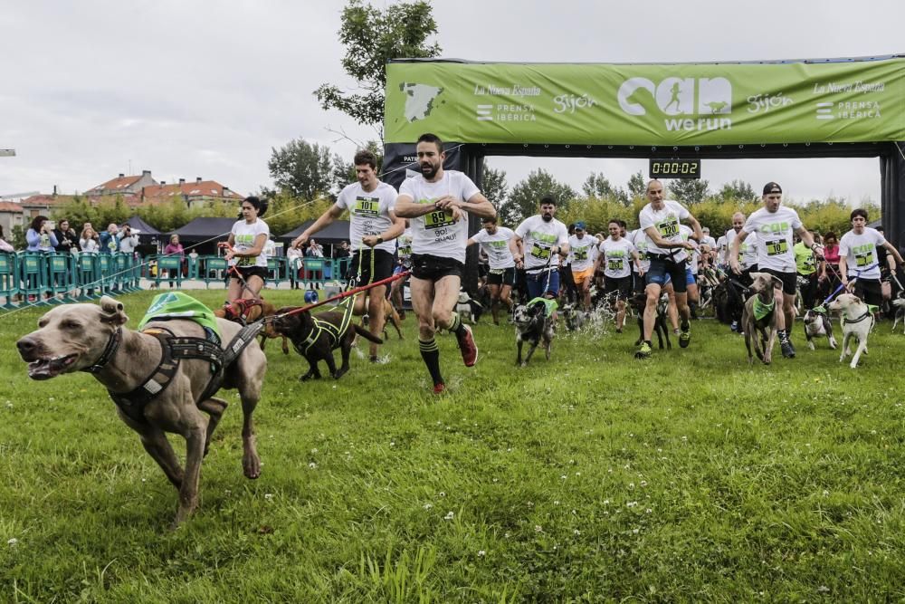 "Can We Run": Deporte, perros y solidaridad toman Gijón