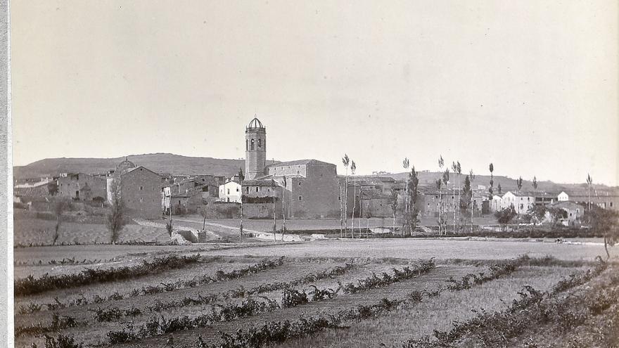 Vinyes antigues a la zona de Prats de Rei el 1890