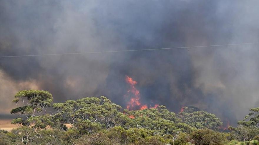 Autoridades de Australia extienden el estado de desastre por los incendios forestales