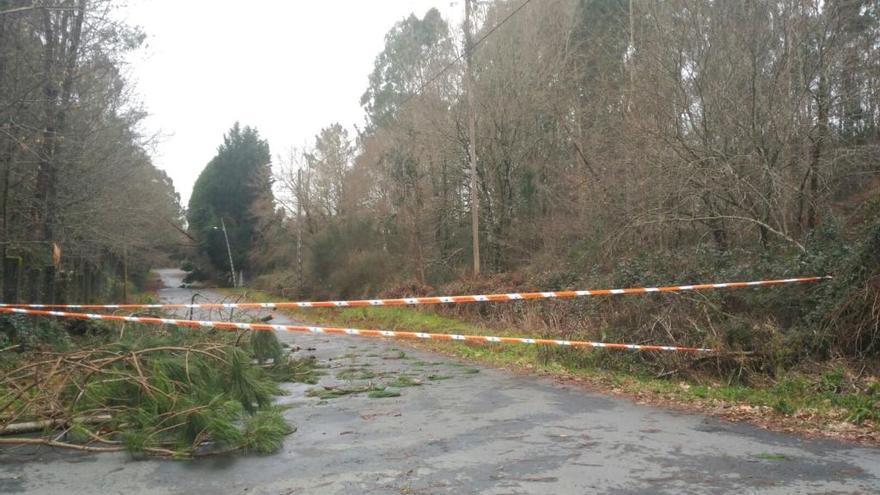 El acceso al Recreo Cultural de A Estrada se cortó al tráfico por la caída de árboles en la zona.