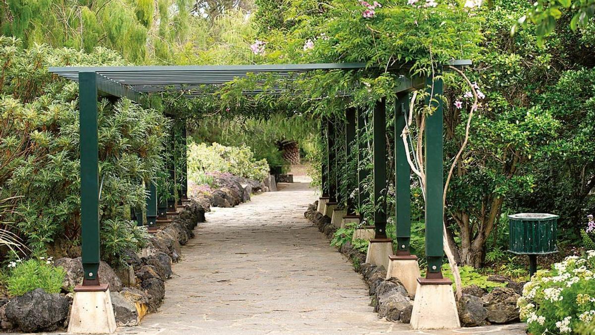 Jardín Botánico Viera y Clavijo.