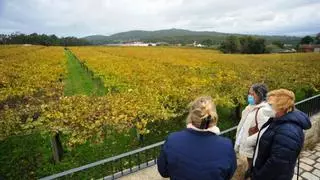 Enoturismo: Una tendencia al alza, a pesar de la pandemia y la lluvia
