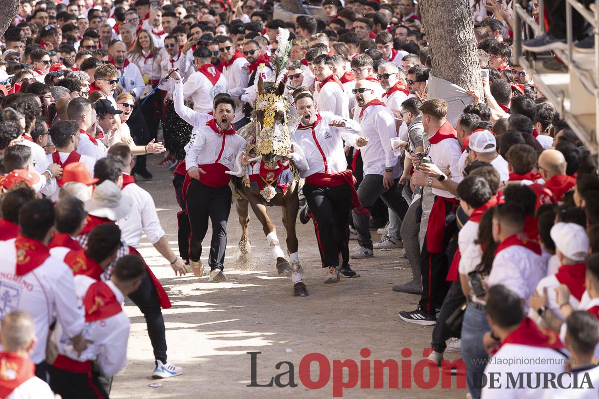 Así se ha vivido la carrera de Los Caballos del Vino en Caravaca