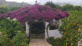 La Elca de Brines y la Casa dels Abargues