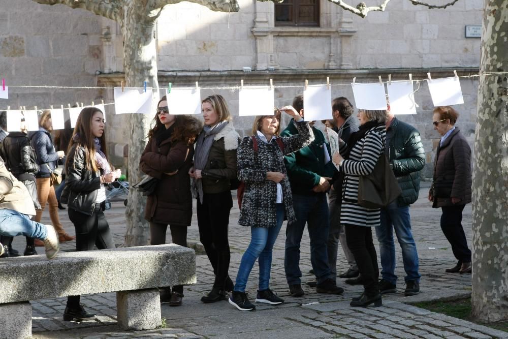 Iniciativa "Secado" en la plaza de Viriato