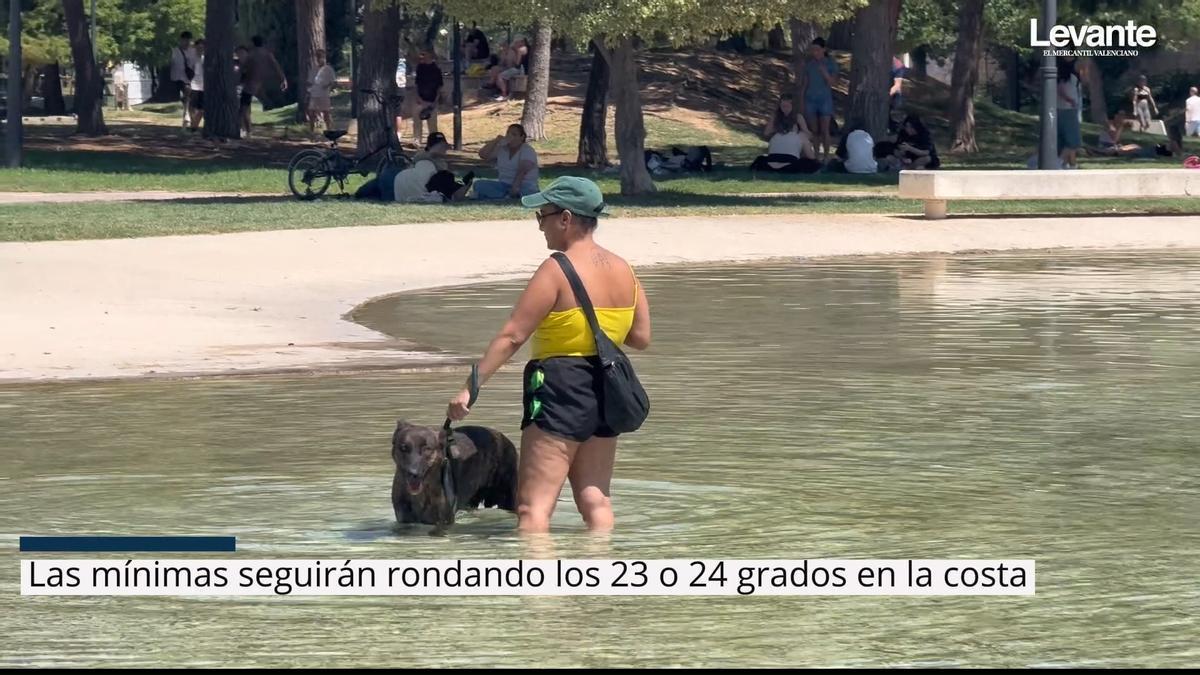 Las imágenes que nos ha dejado la ola de calor en la ciudad de València