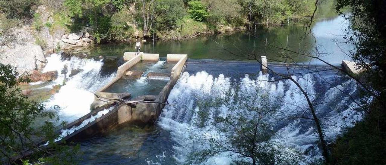 Aspecto del río ayer en la presa de Monte Porreiro, por debajo de lo habitual a estas alturas de año. // R.V.