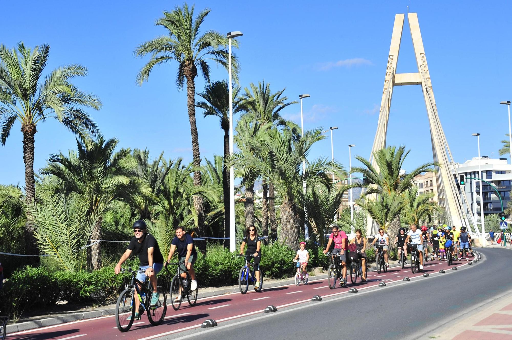 Segunda 'bicifestación' en Elche