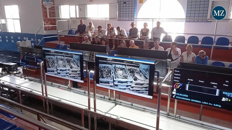 Palmas maritime Geheimnisse: Der MZ-Leserausflug im Video