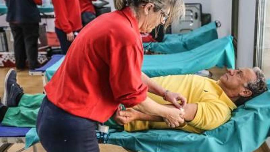 Monas con chocolate para agradecer la donación de sangre