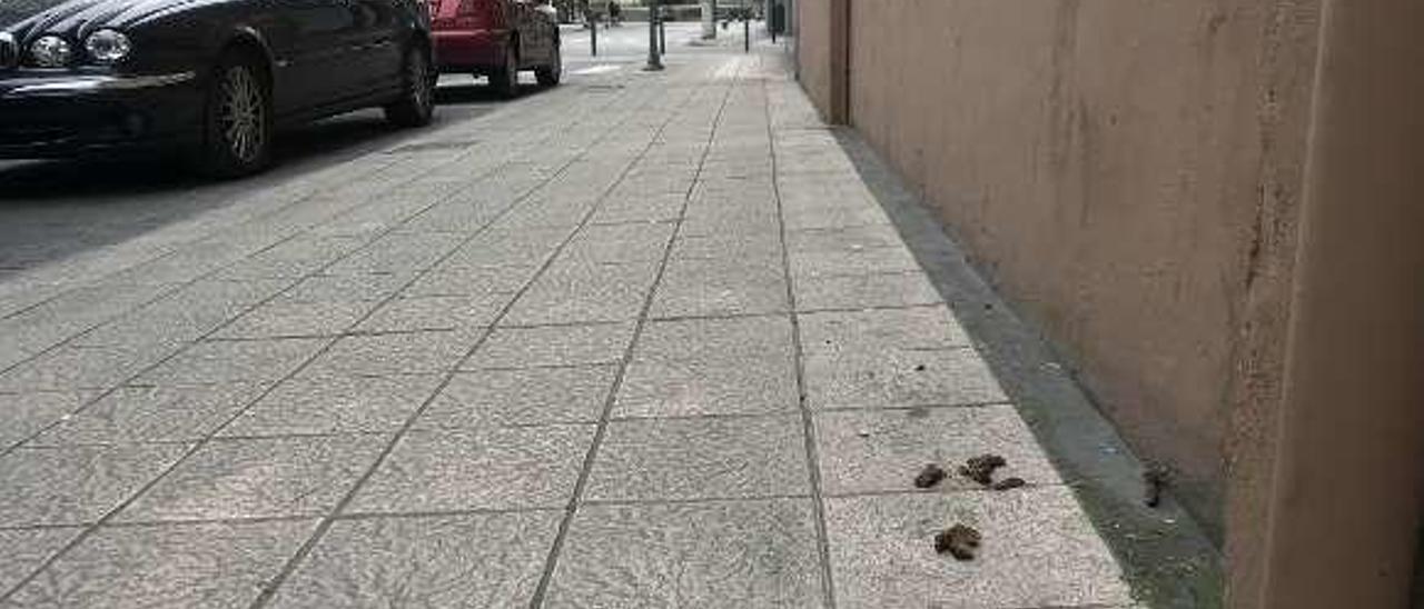 Excrementos en la calle Isabel la Católica de Sama.