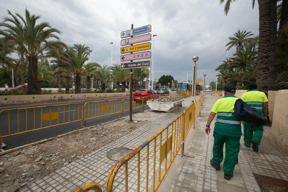 Obras del carril bici en Elche